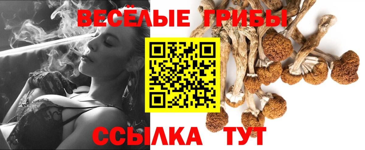 Шадринск  Галлюциногенные грибы прущие грибы  хочу   Вход с VPN 